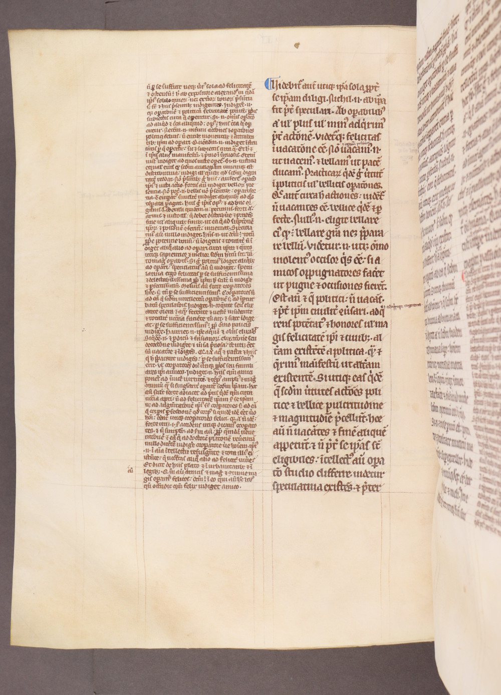 Folio 229 verso